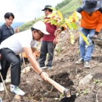 Wakil Bupati Samosir, Ariston Tua Sidauruk Tanam Pohon di lereng gunung Pusuk Buhit.(ist)