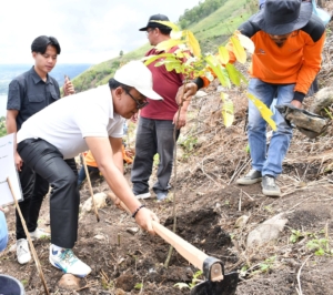 Wakil Bupati Samosir, Ariston Tua Sidauruk Tanam Pohon di lereng gunung Pusuk Buhit.(ist)