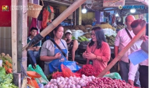 Satgas Saber Pelanggaran Harga, Keamanan, dan Mutu Pangan Kabupaten Karo bersama Satgas Saber Pusat (Badan Pangan Nasional) melakukan pengecekan harga dan ketersediaan bahan pangan di Pusat Pasar Kabanjahe.(ist)