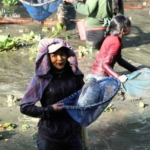 Tradisi Ndurung Ikan yang dilaksanakan di Embung Talimbaru, Kecamatan Barusjahe, Jumat (20/2/2026).(ist)