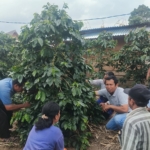 Project Manager HRNS, Denny Indra Simangunsong dan anggota KelompokTani (Poktan) Pergas di Desa Bangun.(ist)