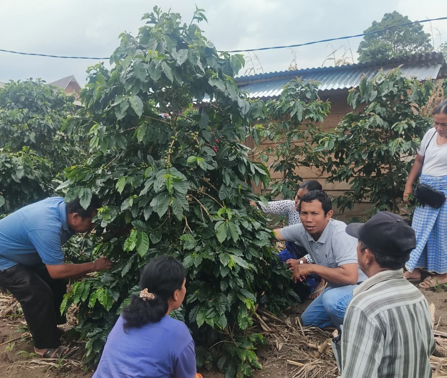 Project Manager HRNS, Denny Indra Simangunsong dan anggota KelompokTani (Poktan) Pergas di Desa Bangun.(ist)