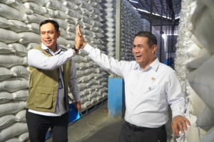 Stok beras di gudang Bulog aman.(ist)