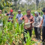 PT. Dairi Prima Mineral (DPM) meluncurkan program Penguatan Ekonomi Lokal untuk Perkuat kemandirian Ekonomi Masyarakat lingkar Tambang.(ist)