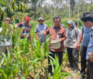 PT. Dairi Prima Mineral (DPM) meluncurkan program Penguatan Ekonomi Lokal untuk Perkuat kemandirian Ekonomi Masyarakat lingkar Tambang.(ist)