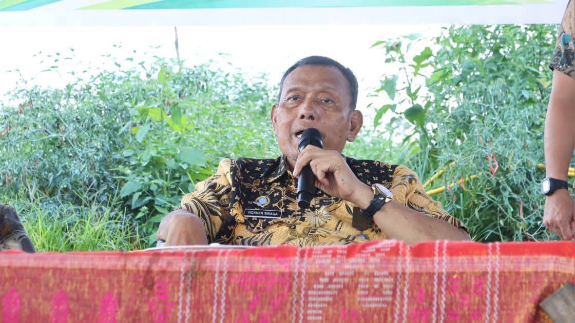 Vickner Sinaga Bupati Dairi.(ist)