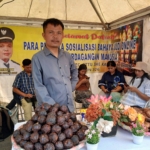 Stan Desa Bandar Baru, Kecamatan Sitellu Tali Urang Jehe.(ist)
