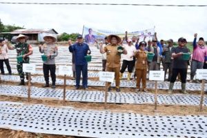Penyerahan bantuan 4 ton benih bawang putih beserta sarana produksi pertanian kepada dua kelompok tani di Desa Hariara Pintu-Kecamatan Harian, 28/07/2026.(ist)