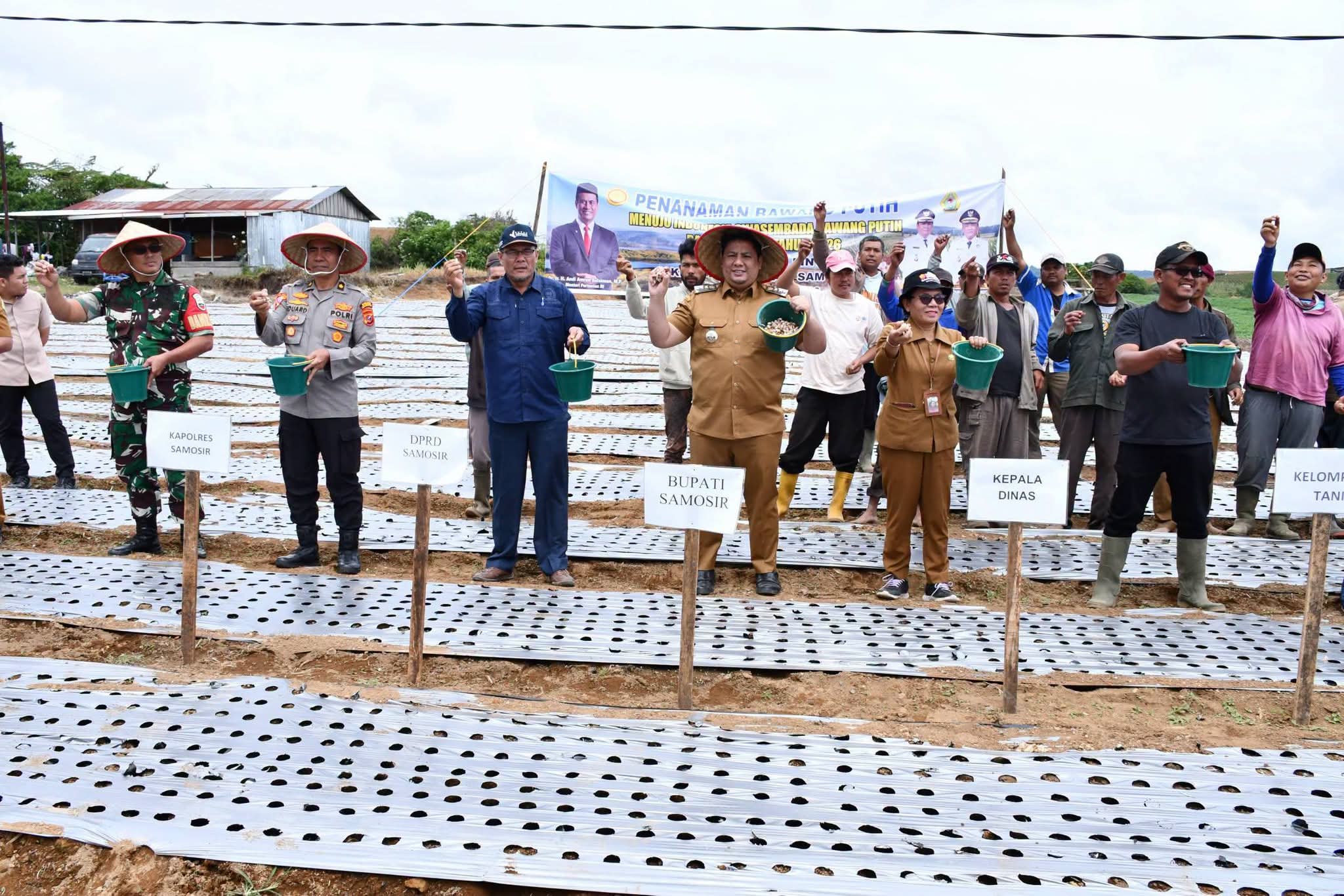 Penyerahan bantuan 4 ton benih bawang putih beserta sarana produksi pertanian kepada dua kelompok tani di Desa Hariara Pintu-Kecamatan Harian, 28/07/2026.(ist)