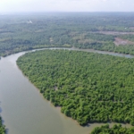 Rehabilitasi wilayah DAS Serang Jaya, Kecamatan Pangkalan Susu, Kabupaten Langkat, Sumatera Utara.(ist)