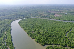 Rehabilitasi wilayah DAS Serang Jaya, Kecamatan Pangkalan Susu, Kabupaten Langkat, Sumatera Utara.(ist)