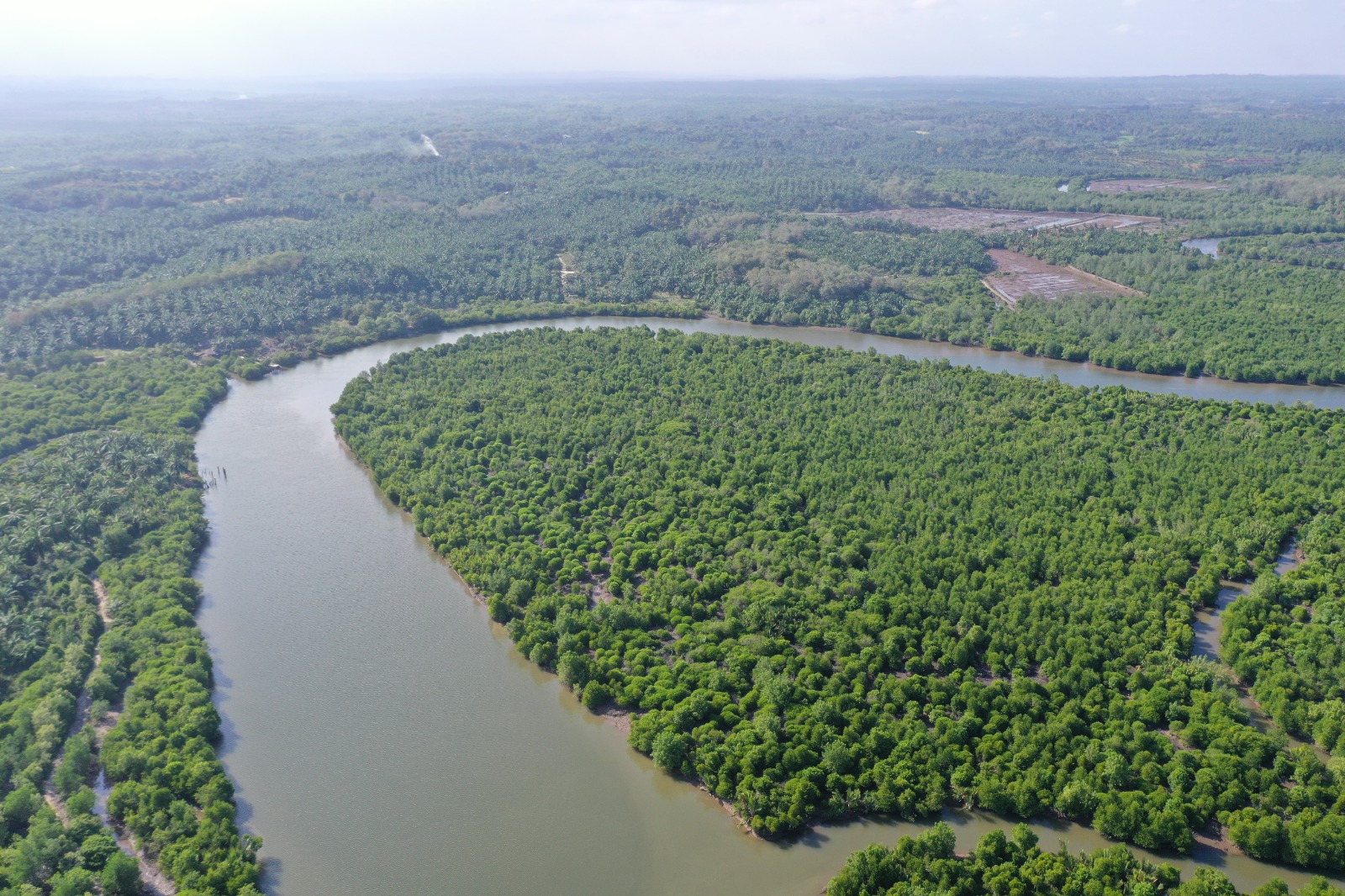 Rehabilitasi wilayah DAS Serang Jaya, Kecamatan Pangkalan Susu, Kabupaten Langkat, Sumatera Utara.(ist)