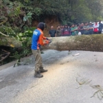 Penanganan Pohon tumbang yang menutupi badan jalan di Dusun Lae Pondom, Desa Silalahi I, Kecamatan Silahisabungan.(ist)