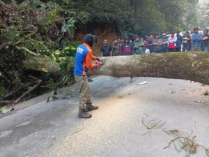 Penanganan Pohon tumbang yang menutupi badan jalan di Dusun Lae Pondom, Desa Silalahi I, Kecamatan Silahisabungan.(ist)