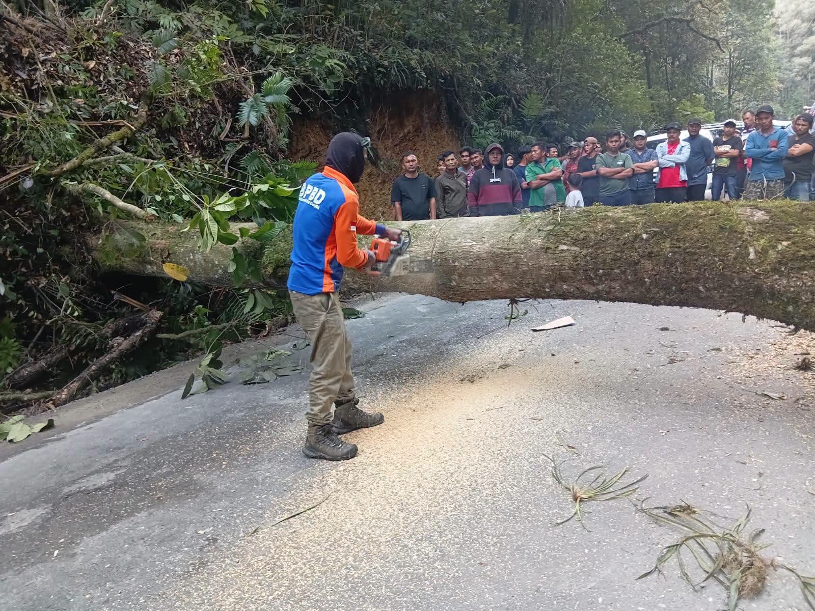 Penanganan Pohon tumbang yang menutupi badan jalan di Dusun Lae Pondom, Desa Silalahi I, Kecamatan Silahisabungan.(ist)