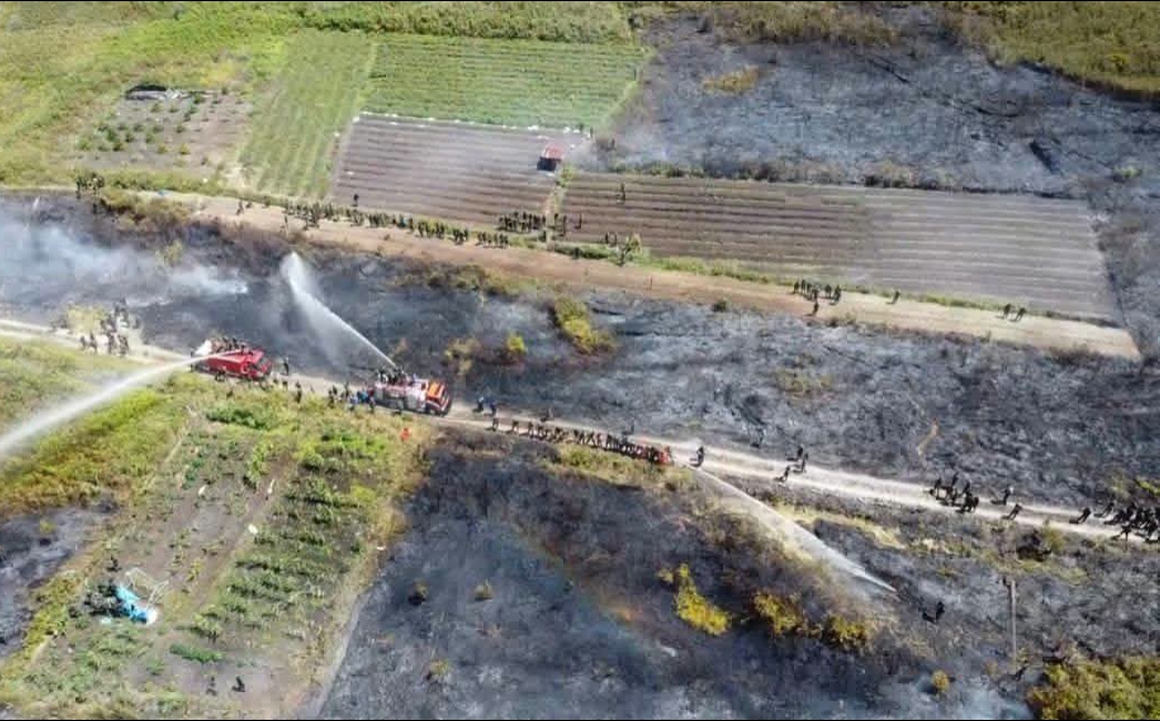 Kebakaran Lahan warga di Desa Simangaronsang, Minggu (30/8/2026).(ist)