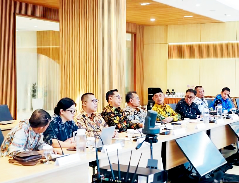 Bupati Dairi Vickner Sinaga melakukan audiensi dengan Menteri Kesehatan RI Budi Gunadi Sadikin.(ist)