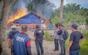 Badan Narkotika Nasional Kabupaten (BNNK) Deliserdang bakar barak narkoba.(ist)