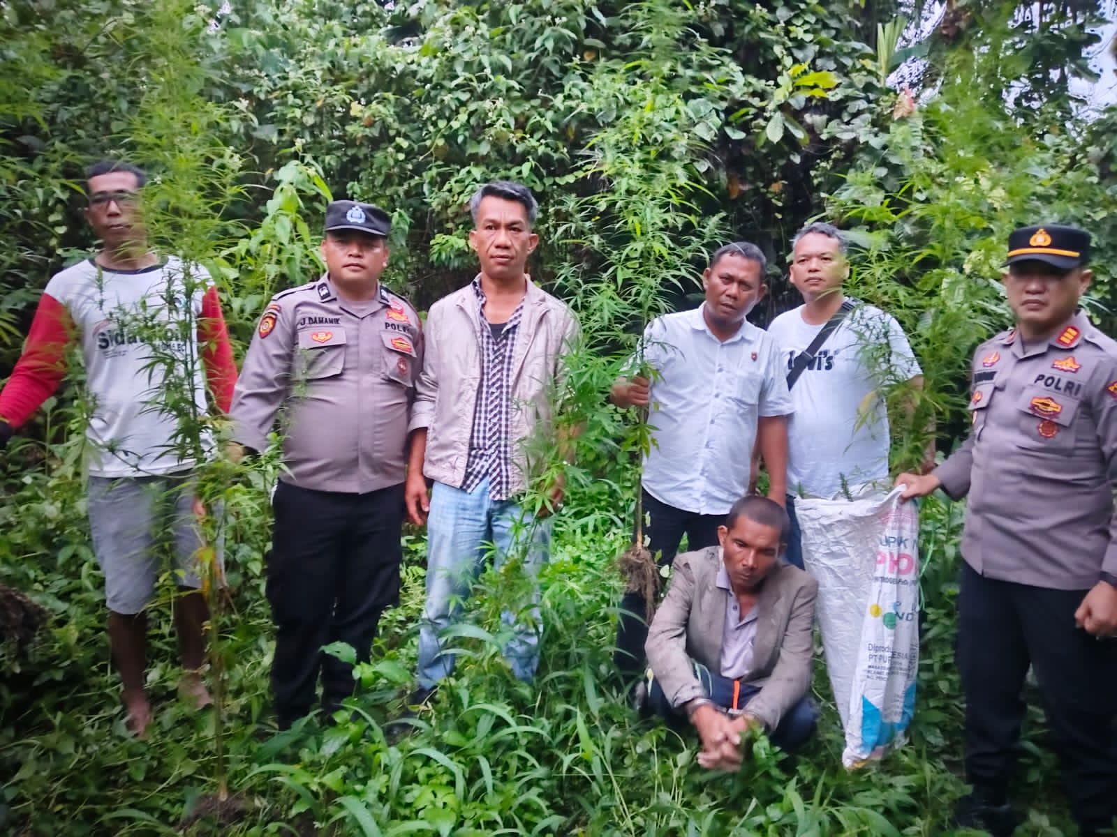 Polisi saat berada di lokasi penemuan ladang ganja.(Hegi)